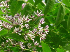 P1150810　風の中で…