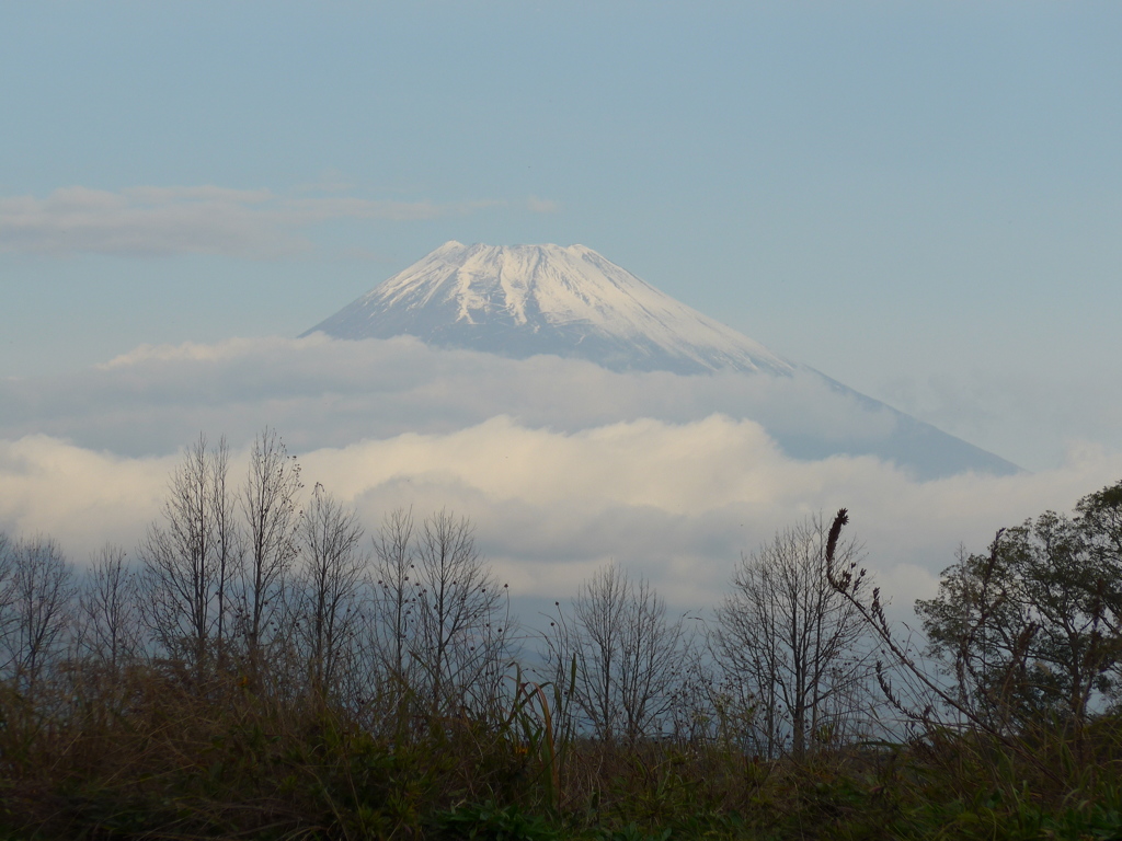 P1120654　11月18日 今朝の富士山