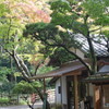 三島市楽寿園にて