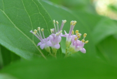 P1270652