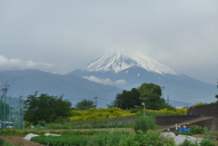 P1150507　5月9日 今日の富士山