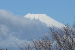 P1280825　11月24日 今日の富士山
