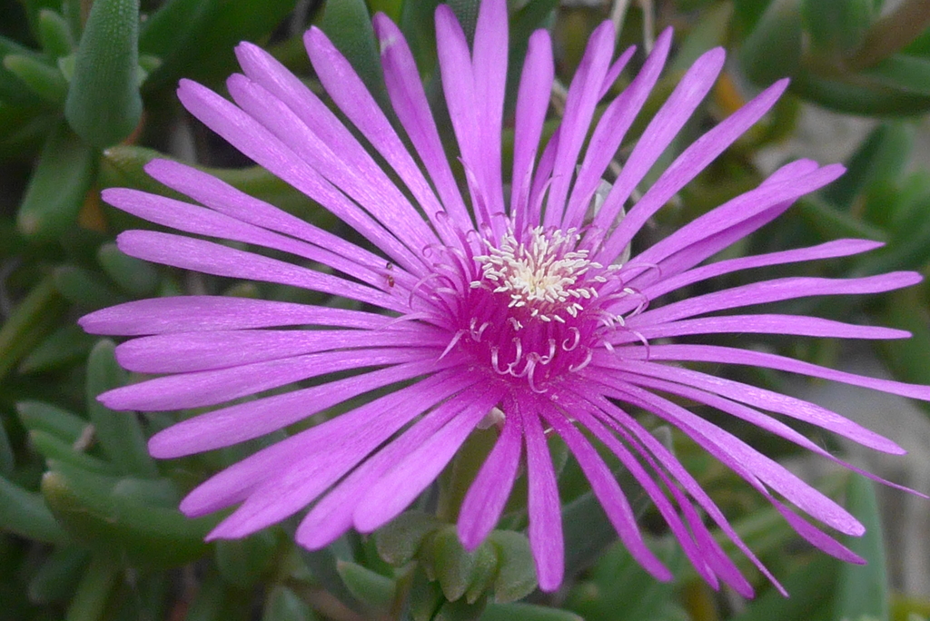 P1090776　おひさまが好き