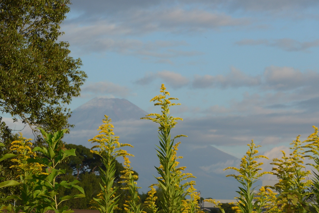 P1280597　10月16日 今朝の富士山