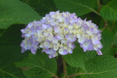 P1220844　はじまり