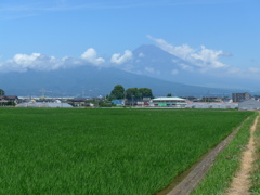 P1100763　7月20日 今日の富士山