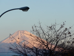 12月09日　朝の富士山