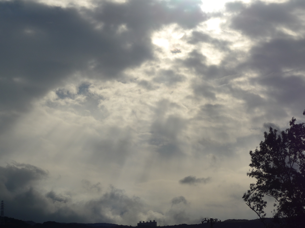 P1120085 (2)　ある朝の空
