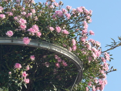 P1090320