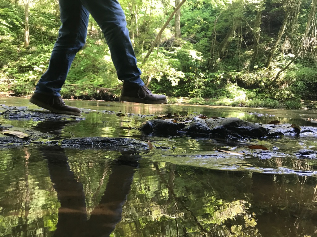 水面散歩