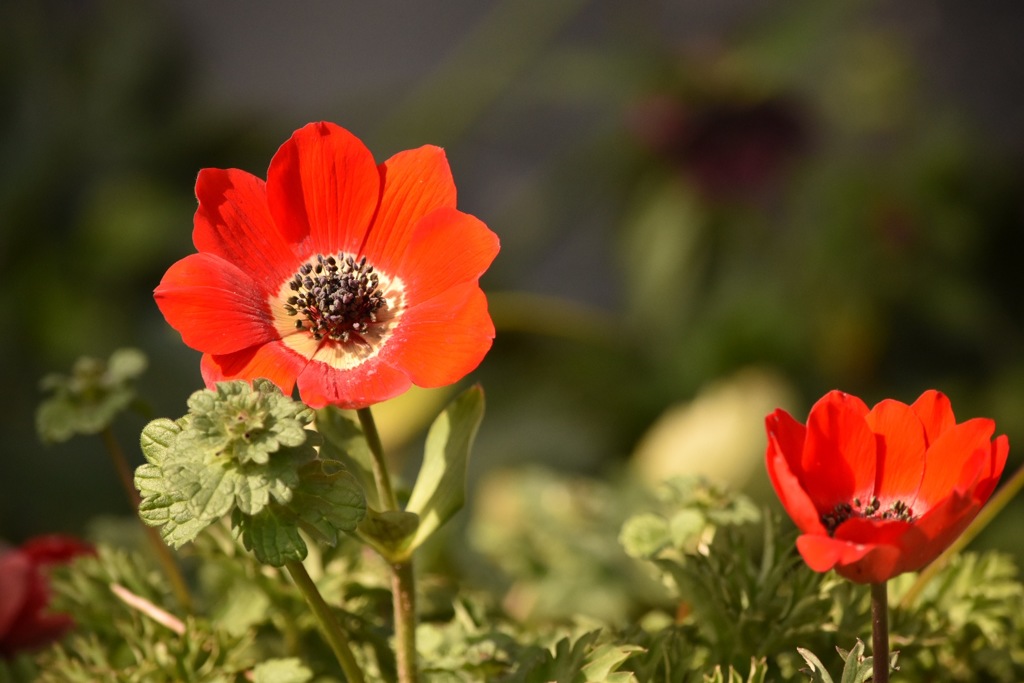 B15F9DD9-79EB-4C7F-BB53-0E3F2D05A72B