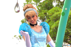 the princess