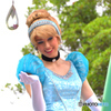 the princess