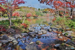 紅葉と青空のグラディーション