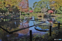 紅葉の修景池