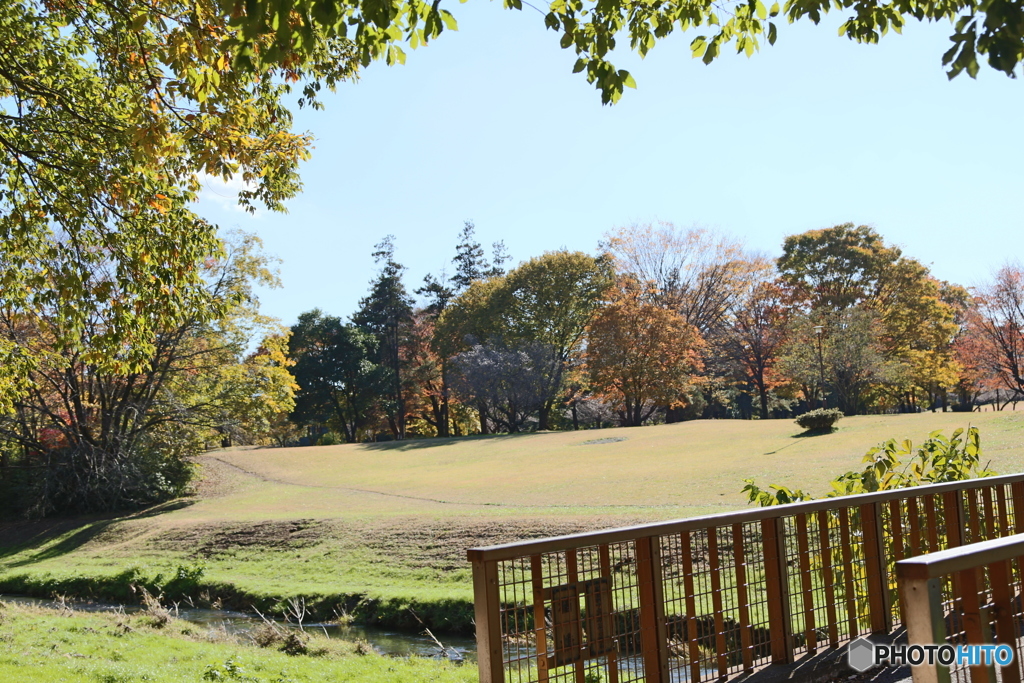 野川公園２