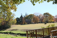 野川公園２