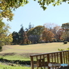 野川公園２
