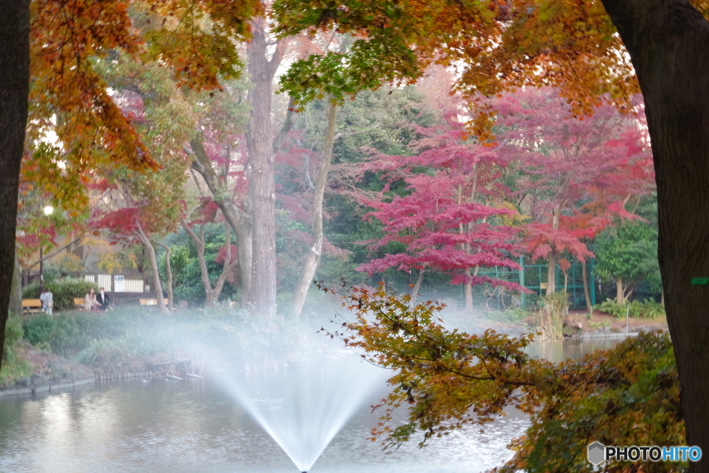 井之頭池の紅葉と噴水