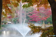 井之頭池の紅葉と噴水