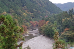 氷川小橋と紅葉