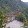 氷川小橋と紅葉
