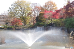 武蔵池の噴水と紅葉1