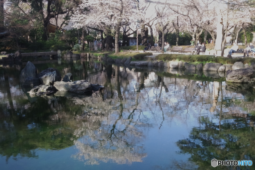 靖国神社 神池庭園２