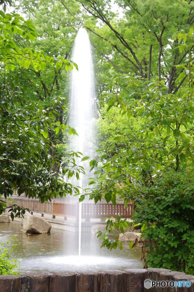 新緑に包まれた噴水
