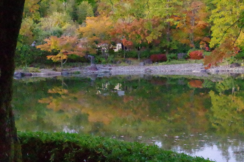 日本庭園 (3)