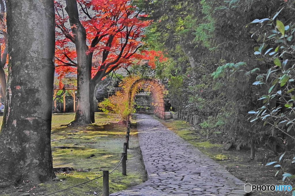 紅葉と萩のトンネル