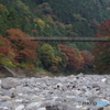 氷川小橋と紅葉２