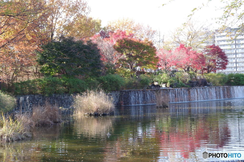 武蔵池と紅葉