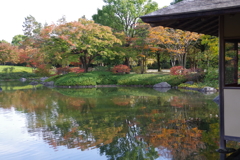 日本庭園(1)