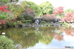 府中の森公園　池１