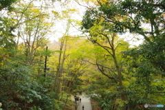 高尾山　紅葉みはらし