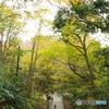 高尾山　紅葉みはらし