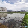 水田と雲7B