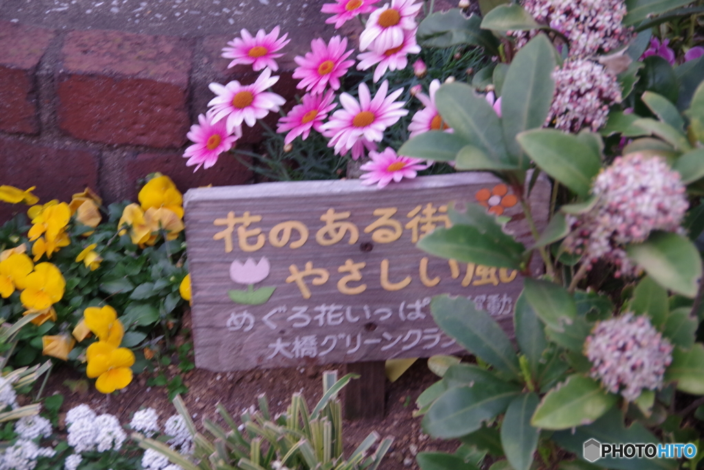 みどりの散歩道 3