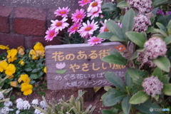 みどりの散歩道 3