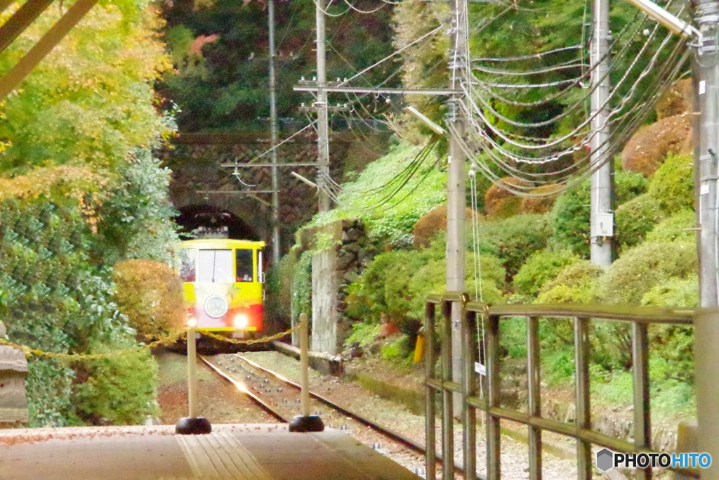 高尾登山もみじ号と紅葉