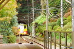 高尾登山もみじ号と紅葉