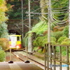 高尾登山もみじ号と紅葉