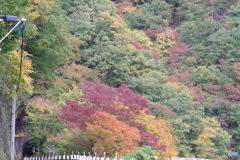 紅葉と馬頭トンネル