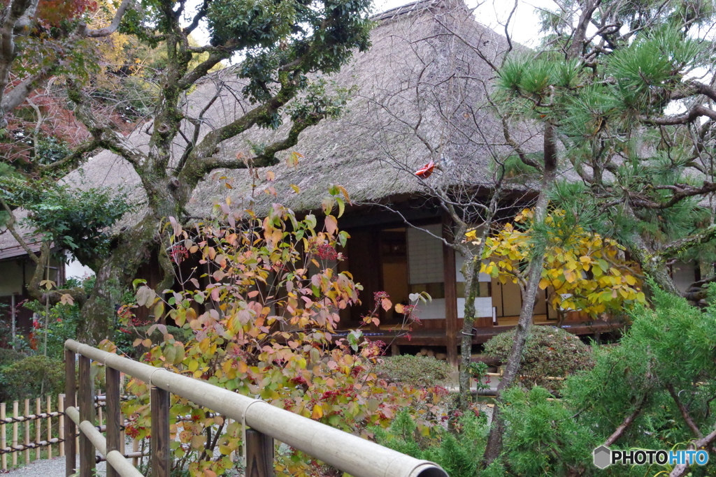 松連庵と紅葉