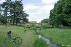 野川公園の自転車と西武多摩川線