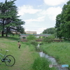 野川公園の自転車と西武多摩川線