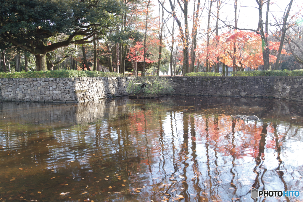 紅葉の石垣壁泉