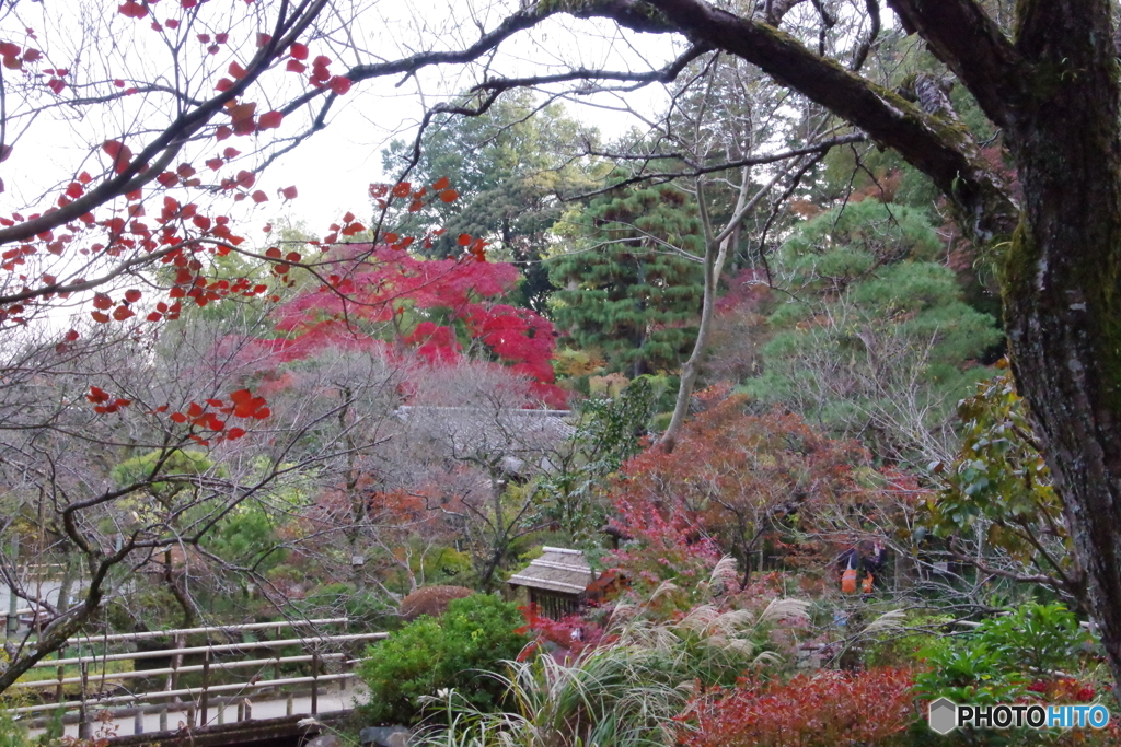 紅葉の百草園