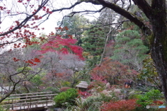 紅葉の百草園